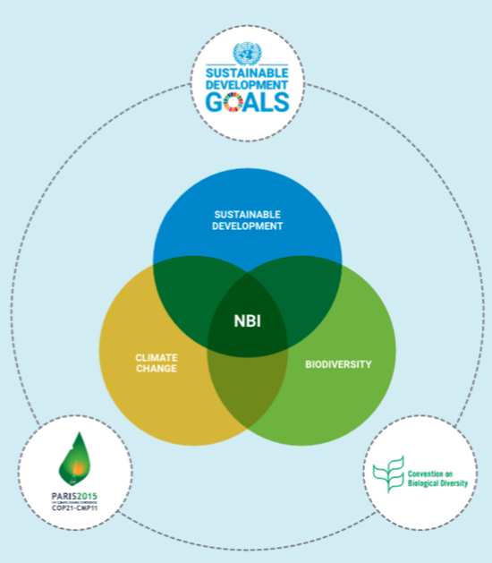 Mr. Robert Dobias-Nature-based Solutions for Infrastructure